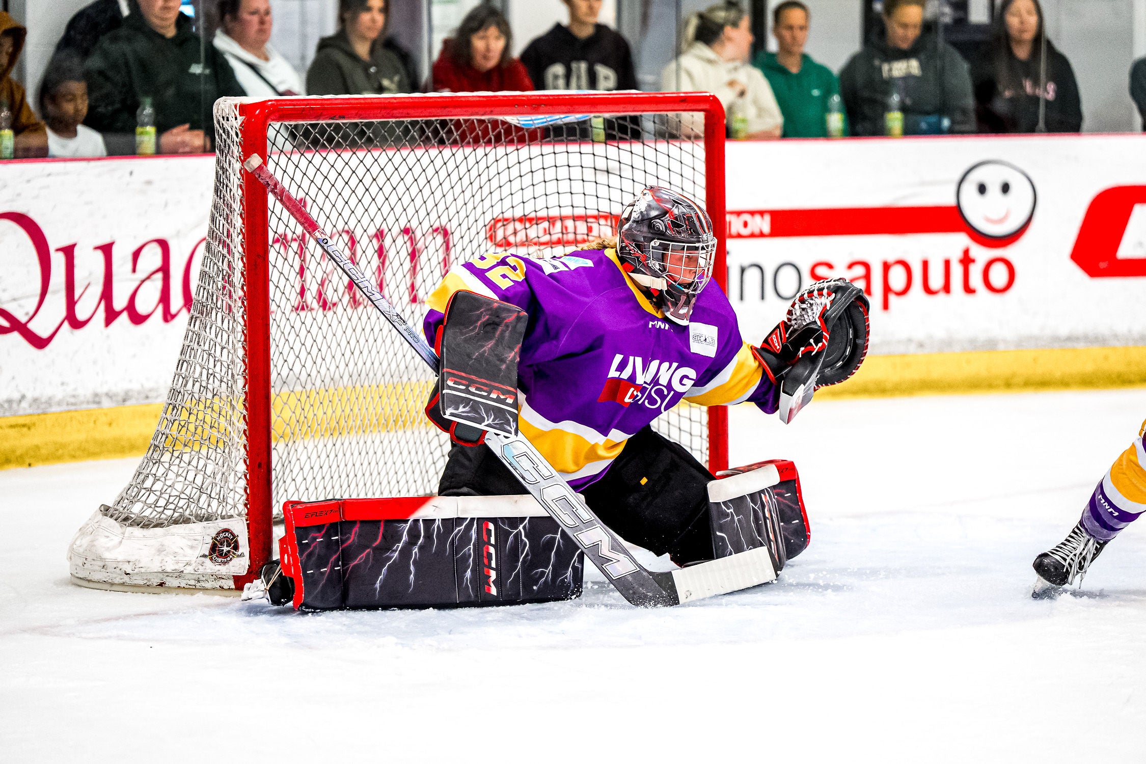LSHL Official Purple Jersey
